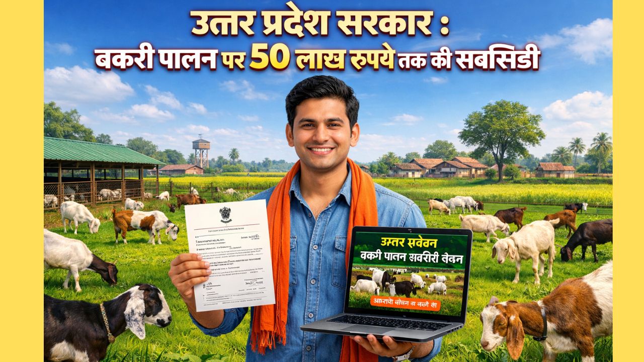 goat farming subsidy in uttar pradesh